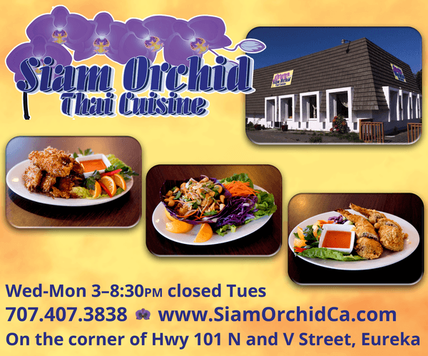 Siam Orchid Thai Cuisine