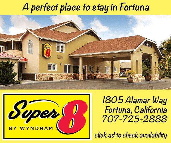 Super 8 Fortuna