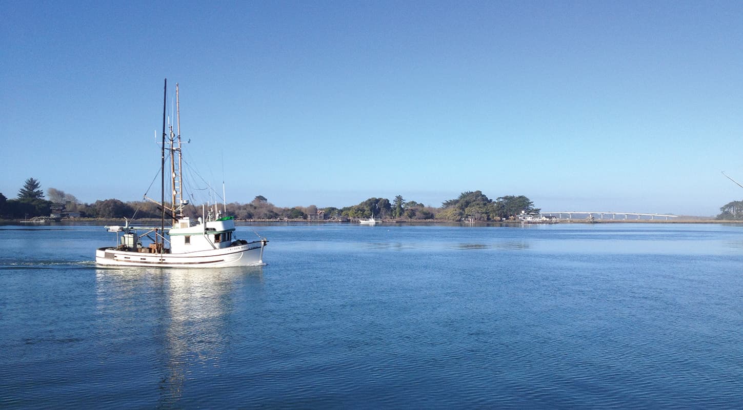 Humboldt Bay