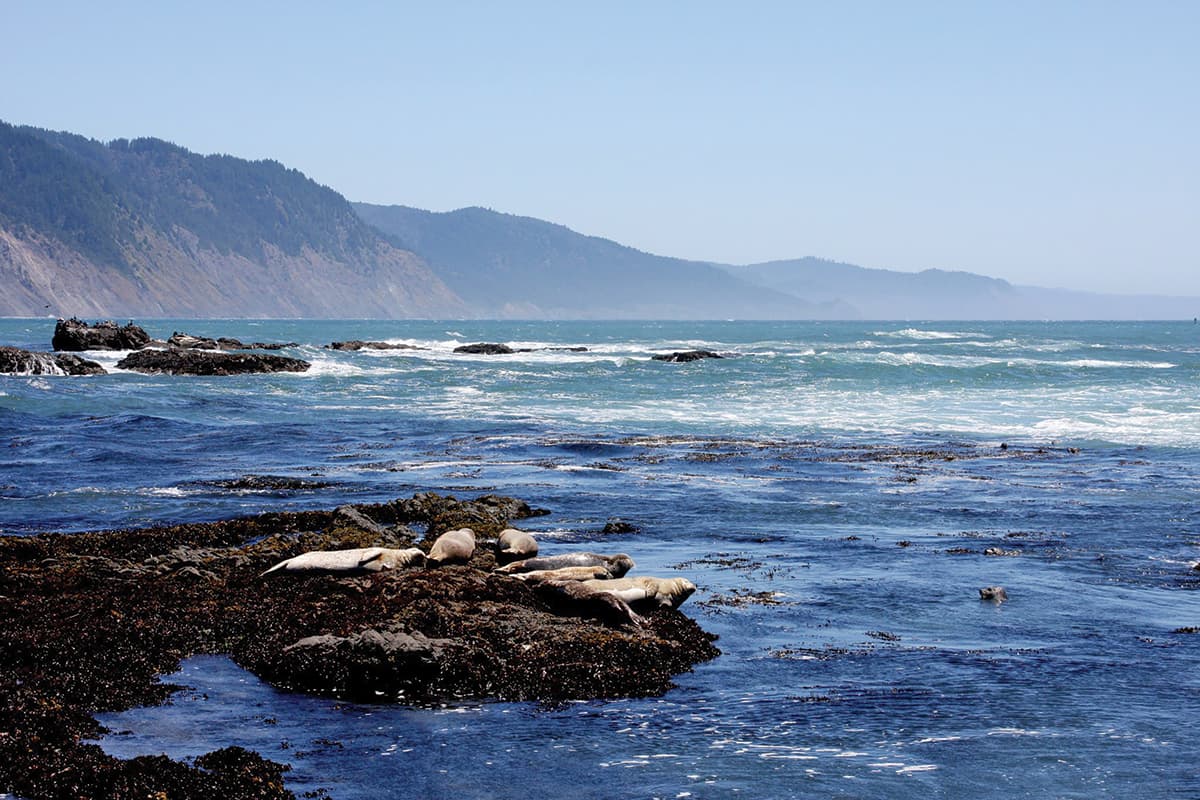 California's Lost Coast