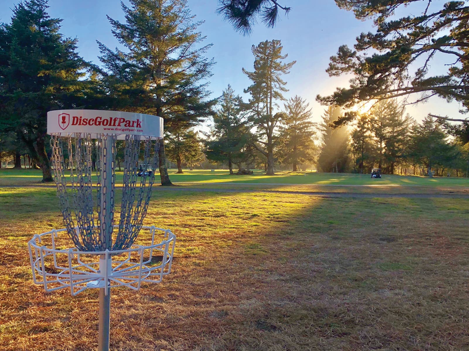 Disc Golf