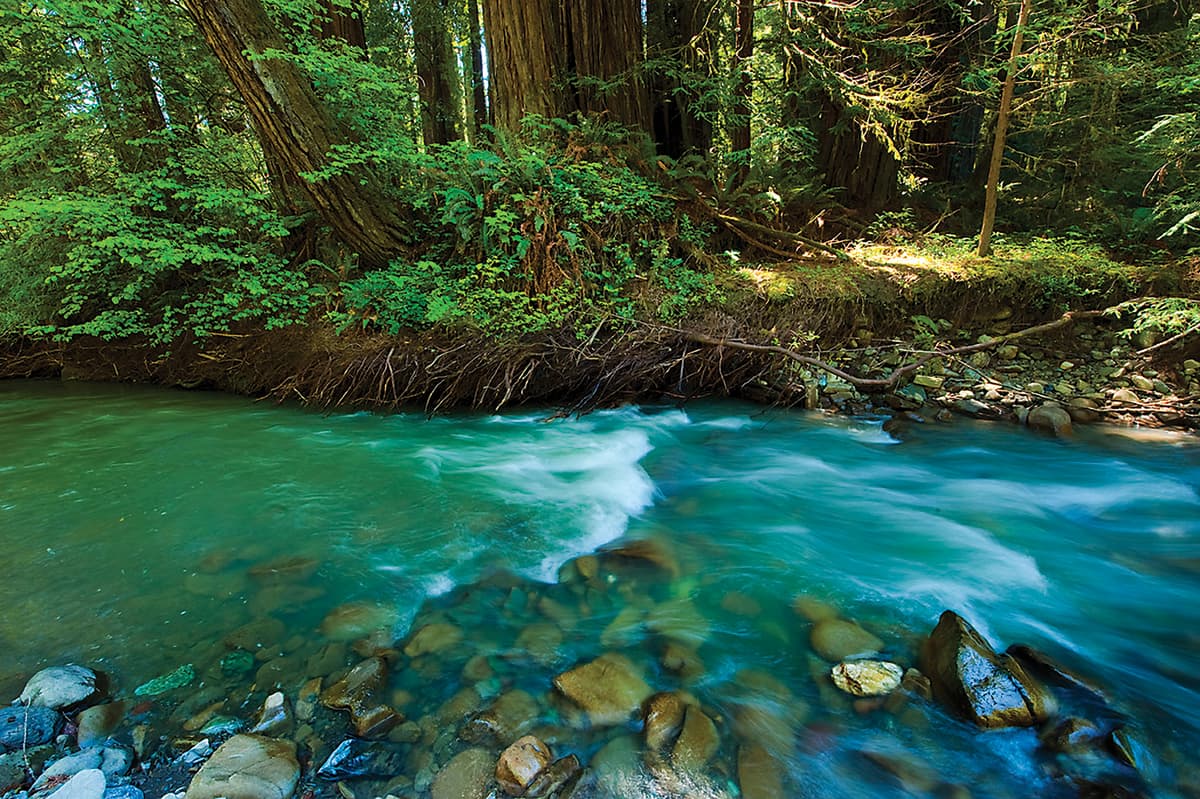 Scenic Highway 36 & Grizzly Creek State Park