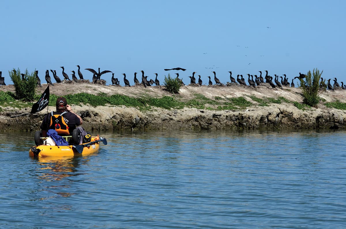 Humboldt Bay National Wildlife Refuge