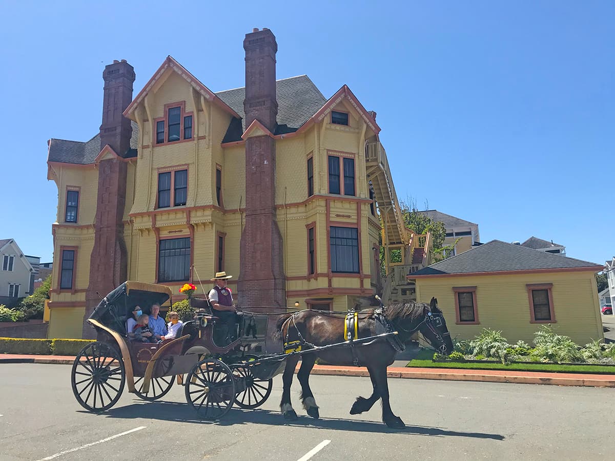 Horse-Drawn Carriage Rides