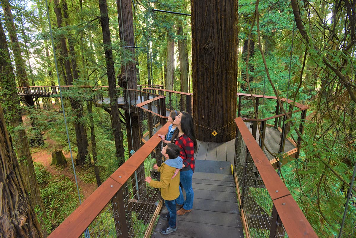 Sequoia Park Zoo