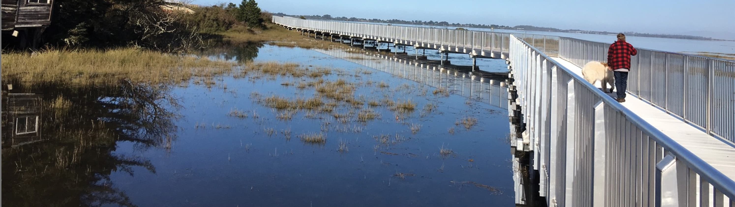 Humboldt Bay Trail