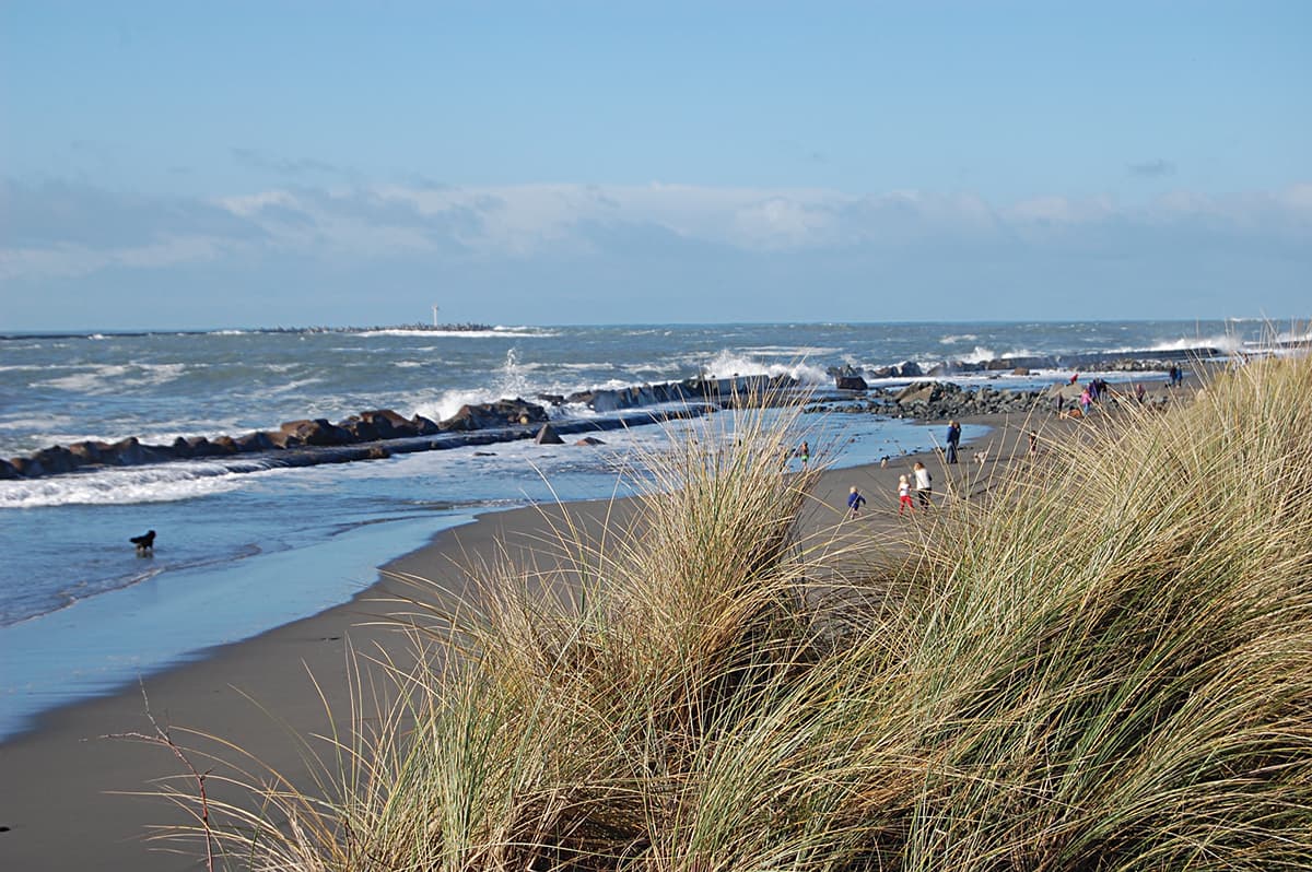 Samoa Dunes Recreation Area