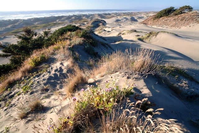 Ma-le'l Dunes National Landmark