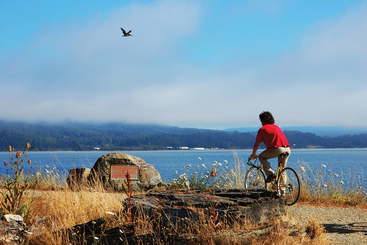 The Arcata Marsh & Wildlife Sanctuary