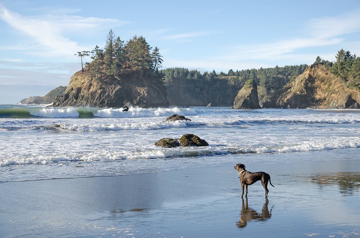 Trinidad State Beach