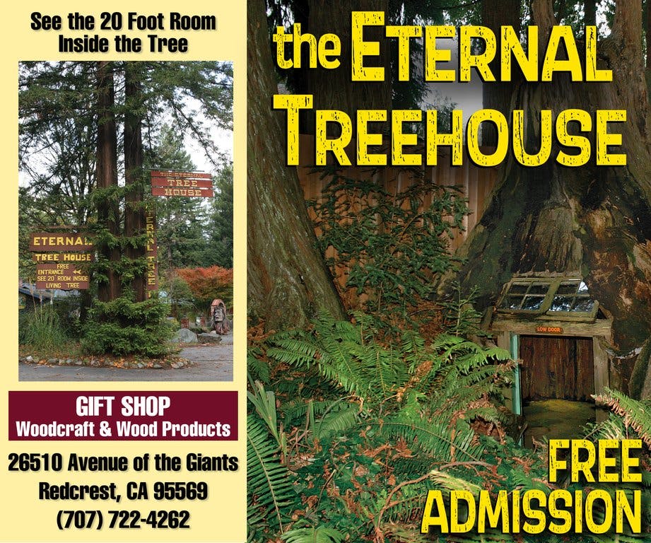 The Eternal Treehouse
