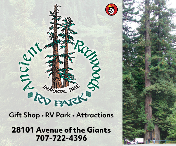 Ancient Redwoods RV Park
