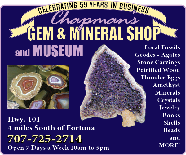 Chapman's Gem & Mineral Shop and Museum