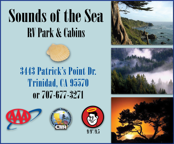 Sounds of the Sea RV Park and Cabins