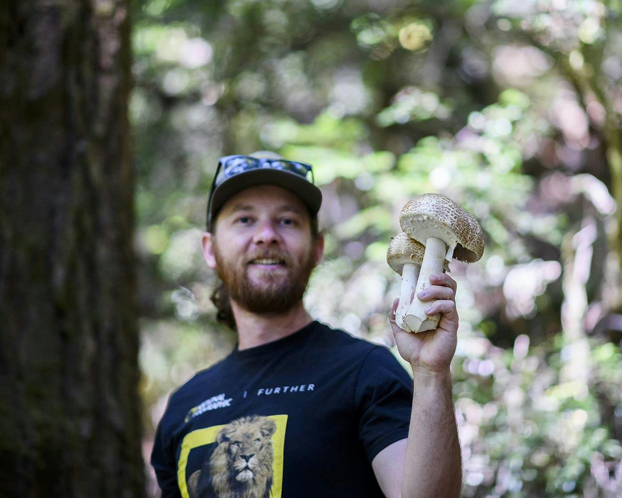 Hunt for Mushrooms